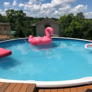 Meet your Posher, Tammy